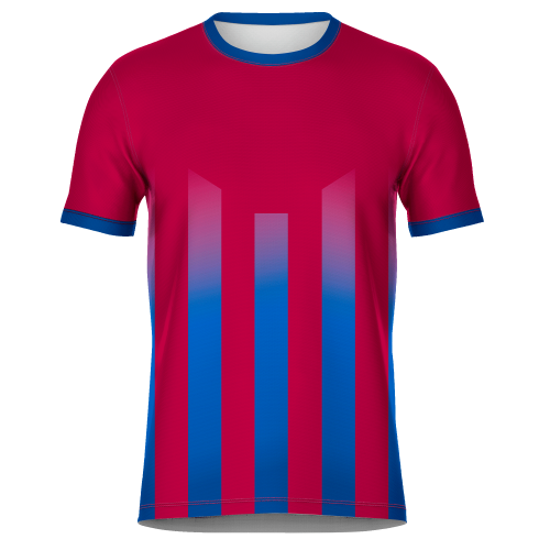 Camiseta 2